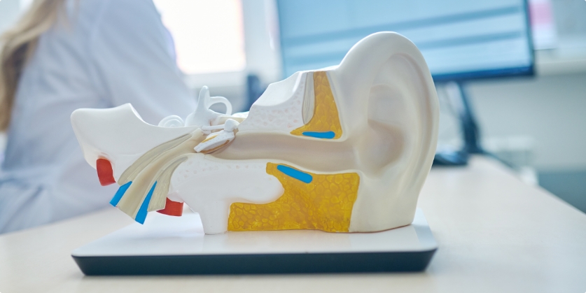 Manhattan Avenue Hearing Aids Blog